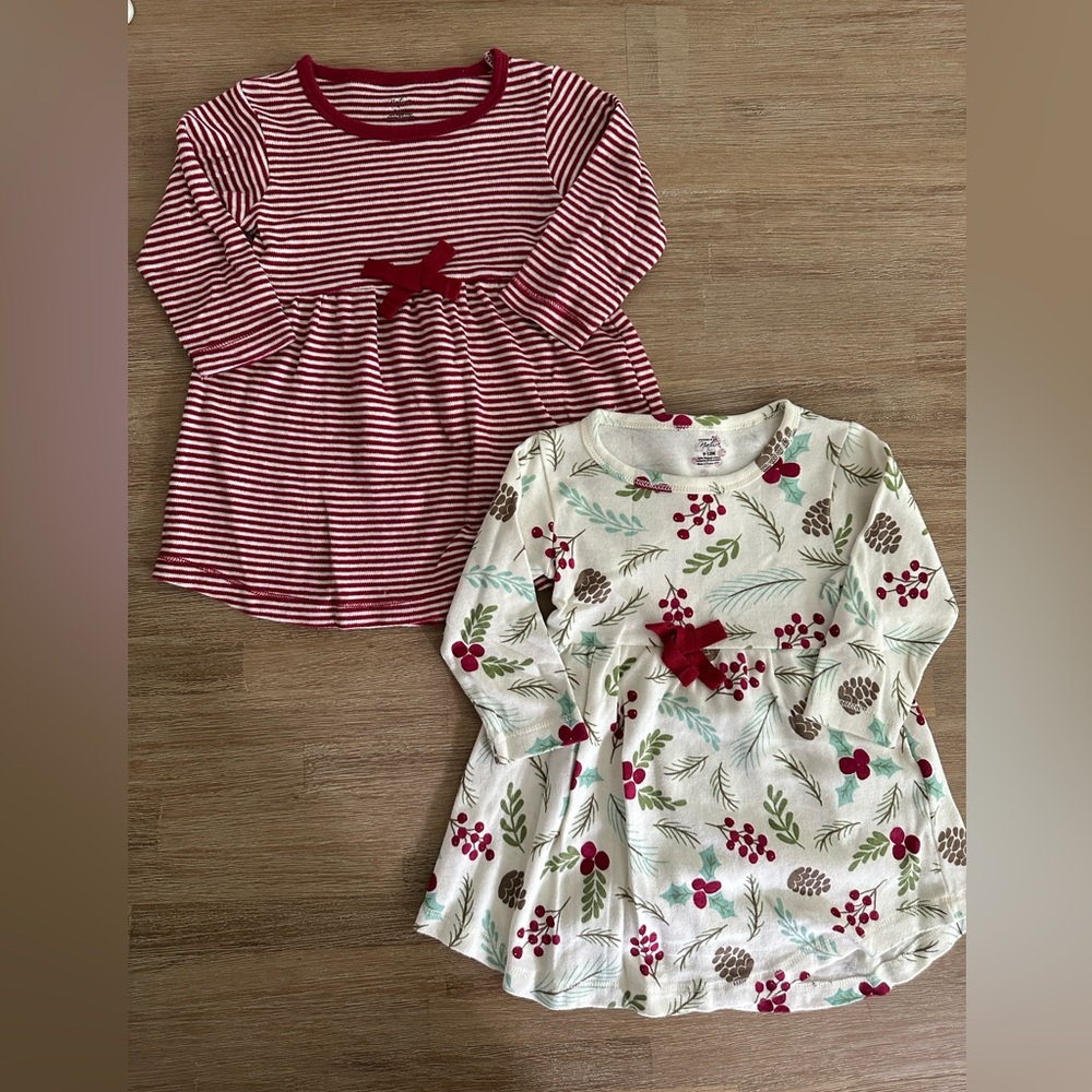 Touched by Nature | Bundle of 2 Holiday Dresses | 9-12m